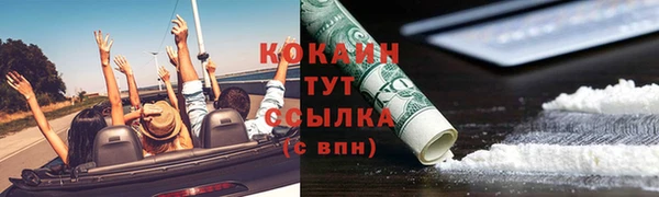 ГАЛЛЮЦИНОГЕННЫЕ ГРИБЫ Алексин