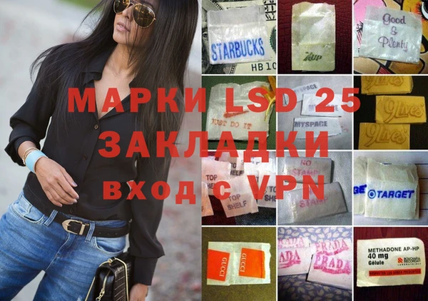 ГАЛЛЮЦИНОГЕННЫЕ ГРИБЫ Алексин