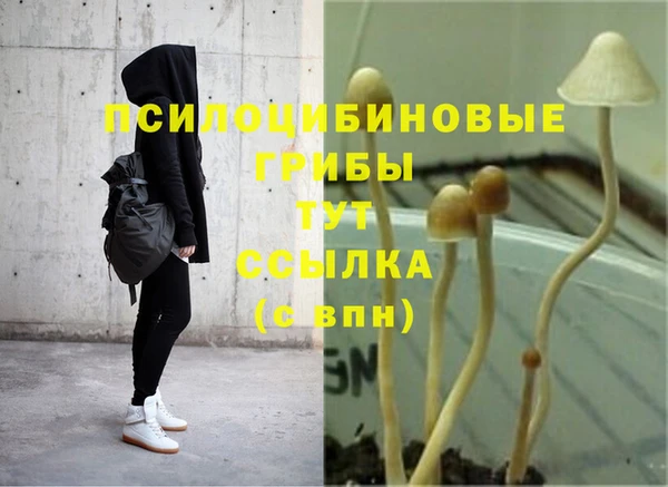 бошки Алзамай