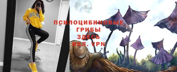 ГАЛЛЮЦИНОГЕННЫЕ ГРИБЫ Алексин