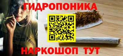 меф Кингисепп