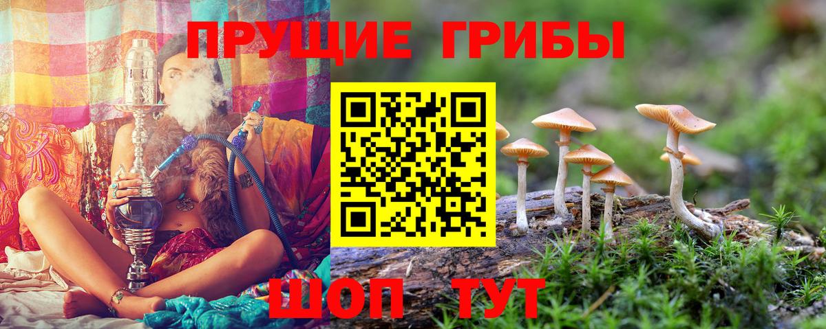 Альфа ПВП Изобильный