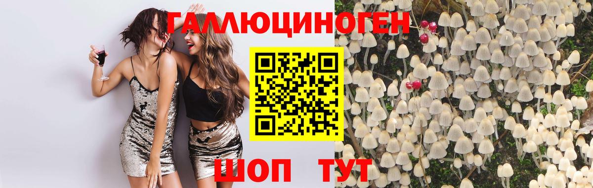 Галлюциногенные грибы MAGIC MUSHROOMS Изобильный