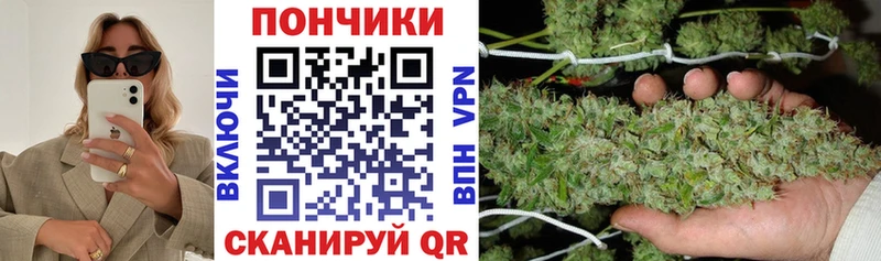 купить наркотик  MEGA зеркало  Марихуана конопля  Изобильный 